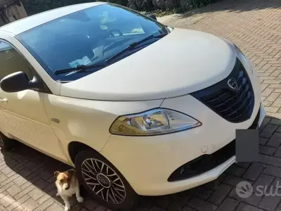 Begagnad Lancia Ypsilon