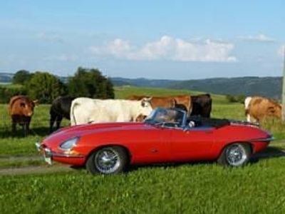 Usata Jaguar E-Type 269 CV (197 kW) 1967 Rosso Cabrio