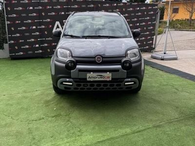 Usata Fiat Panda Cross Cross 69 CV (50 kW) 2020 Grigio Utilitaria