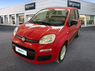 Usata Fiat Panda Easy 69 CV (50 kW) 2017 Rosso Utilitaria