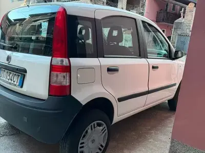 Usata Fiat Panda 4x4 60 CV (44 kW) 2008 Bianco Utilitaria