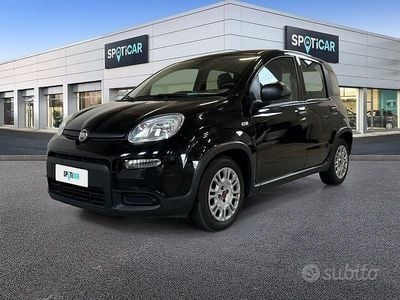 Usata Fiat Panda S 70 CV (51 kW) 2023 Bianco Utilitaria