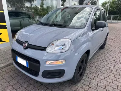 Usata Fiat Panda Easy 69 CV (50 kW) 2018 Grigio Utilitaria