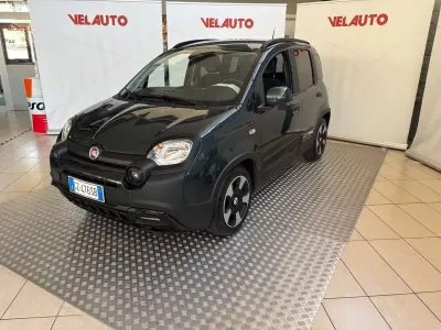 Usata Fiat Panda Cross Cross 71 CV (52 kW) 2025 Verde Utilitaria