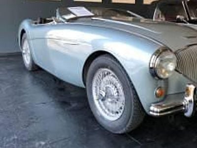 Usata Austin Healey 100 90 CV (66 kW) 1954 Blu Cabrio