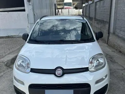 Usata Fiat Panda 85 CV (62 kW) 2014 Bianco Utilitaria