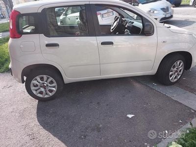 Usata Fiat Panda Young 80 CV (58 kW) 2015 Utilitaria