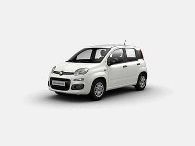 Nuova Fiat Panda Pop 65 CV (47 kW) 2026 Bianco Utilitaria