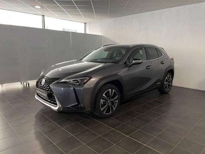 Lexus UX 250h