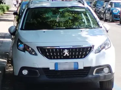 Usata Peugeot 2008 Allure 83 CV (61 kW) 2019 Bianco SUV