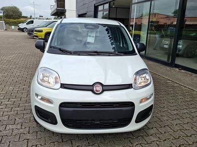 Nuova Fiat Panda 65 CV (47 kW) 2026 Bianco Utilitaria