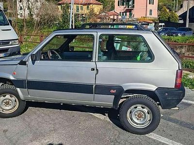 Usata Fiat Panda 4x4 Club 54 CV (39 kW) 1999 Grigio Utilitaria