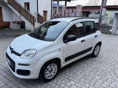 Usata Fiat Panda Easy 69 CV (50 kW) 2017 Bianco Utilitaria