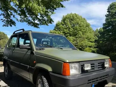 Usata Fiat Panda 4x4 Climbing 54 CV (39 kW) 2002 Utilitaria