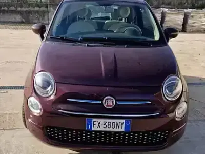 Usata Fiat 500 69 CV (50 kW) 2019 Viola Berlina