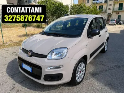 Occasion Fiat Panda Lounge 80 ch (58 kW) 2015 Beige Citadine