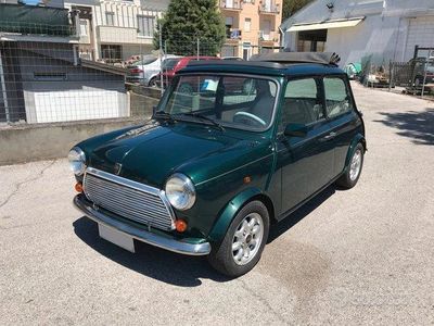 Rover Mini