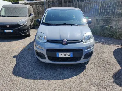 Usata Fiat Panda Pop 69 CV (50 kW) 2017 Grigio Utilitaria