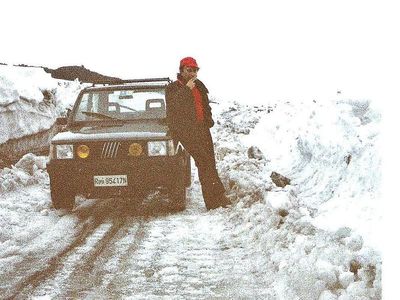 Verde Usata 1987 Fiat Panda 4x4 Utilitaria | 10.000 €