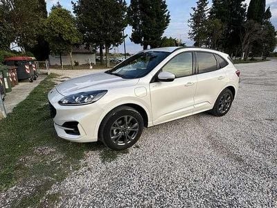Usata Ford Kuga ST-Line 224 CV (164 kW) 2023 Bianco SUV