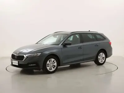 Usata Skoda Octavia