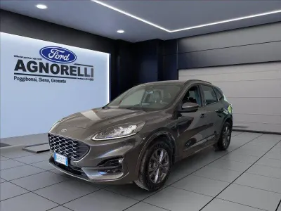 Usata Ford Kuga ST-Line X 225 CV (165 kW) 2023 SUV