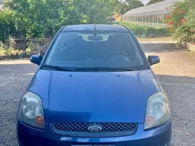Usata Ford Fiesta