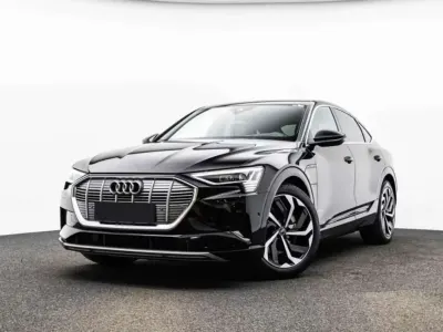 Usata Audi e-tron