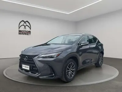 Usata Lexus NX200t Business Edition 243 CV (178 kW) 2023 Grigio / gray SUV