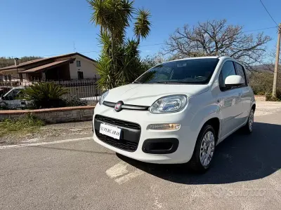 Usata Fiat Panda Easy 69 CV (50 kW) 2014 Bianco Utilitaria