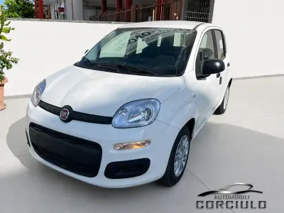 Nuova Fiat Panda Icon 70 CV (51 kW) 2025 Rosso Utilitaria