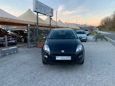 Usata Fiat Punto Young 70 CV (51 kW) 2015 Bluazzurro Utilitaria