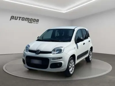 Usata Fiat Panda 4x4 84 CV (61 kW) 2020 Bianco Utilitaria