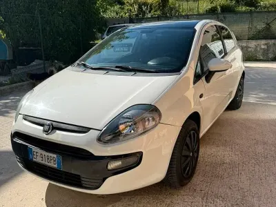 Usata Fiat Punto Evo 69 CV (50 kW) 2011 Bianco Utilitaria