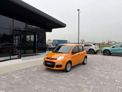 Usata Fiat Panda Easy 69 CV (50 kW) 2018 Arancione Utilitaria