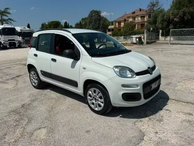 Usata Fiat Panda 80 CV (58 kW) 2014 Bianco Utilitaria