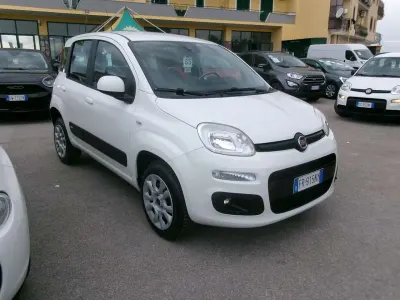 Usata Fiat Panda Lounge 80 CV (58 kW) 2018 Bianco Utilitaria
