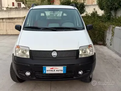 Usata Fiat Panda 4x4 60 CV (44 kW) 2006 Bianco Utilitaria
