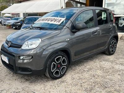 usata Fiat Panda 1.0 HYBRID 69cv