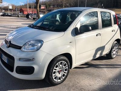 Usata Fiat Panda 2020 Bianco Utilitaria