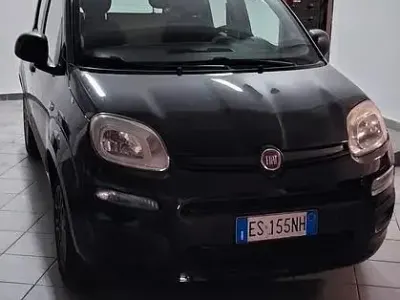 Usata Fiat Panda 69 CV (50 kW) 2013 Nero Utilitaria