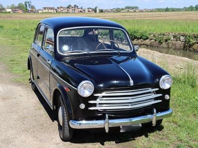 Usata Fiat 1100 31 CV (22 kW) 1953 Nero Berlina