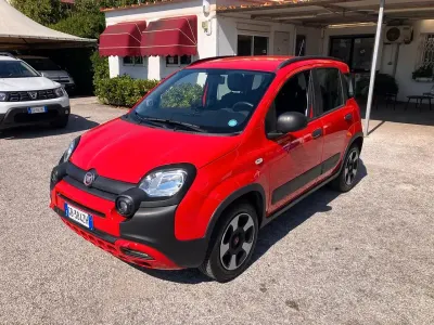 Usata Fiat Panda Cross Cross 70 CV (51 kW) 2020 Rosso Utilitaria