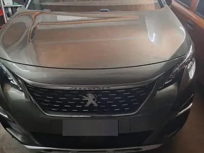 Usata Peugeot 3008 GT-line 131 CV (96 kW) 2019 Verde SUV