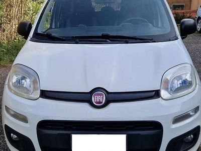 Usata Fiat Panda Trekking 75 CV (55 kW) 2015 Utilitaria