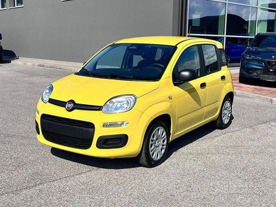 Nuova Fiat Panda Icon 2025 Giallo Utilitaria