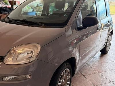 Gebraucht Fiat Panda Easy 69 PS (50 kW) 2018 Grau Kleinwagen