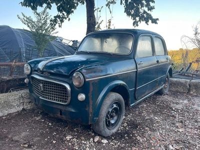 Usata 1950 Fiat 1100 | 1100 €