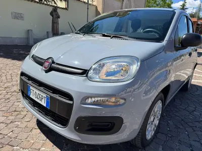 Usata Fiat Panda Easy 69 CV (50 kW) 2019 Grigio Utilitaria