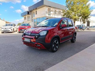 Usata Fiat Panda Cross Cross 70 CV (51 kW) 2024 Rosso Utilitaria
